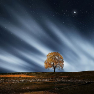 巨乳美女加光屁屁加无遮挡
